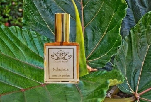 3441-joanne-bassett-malmaison