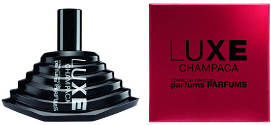 3965-comme-des-garcons-luxe-champaca-pyramide