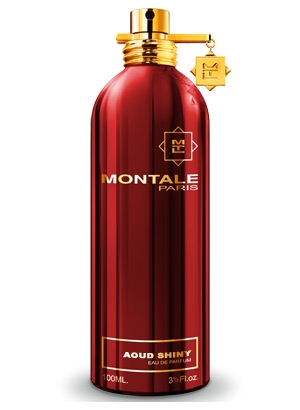 4208-montale-aoud-shiny
