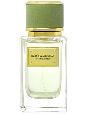 4236-dolce-amp-gabbana-bergamot-men