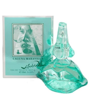 7264-salvador-dali-laguna-maravilla